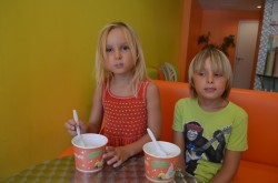Frozen yoghurt